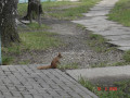2006 Ostern